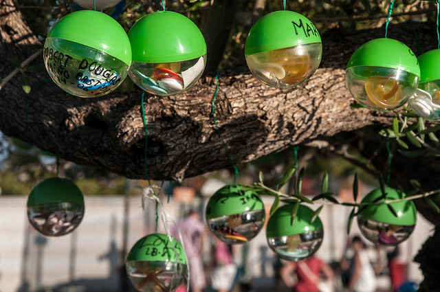 Parque de la Bateria dummy tree